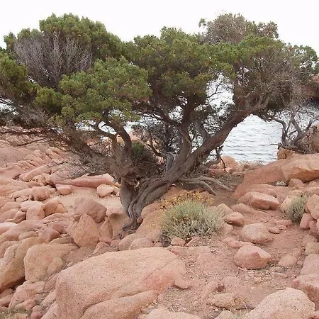 Deiana's - Sea View Διαμέρισμα Cardedu