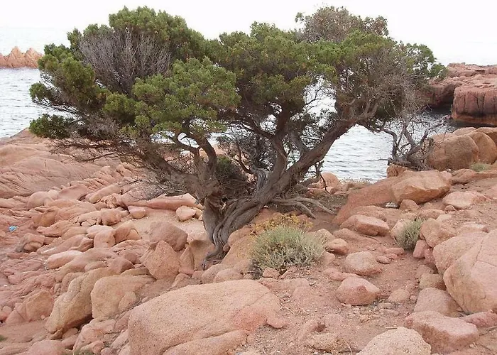 Deiana's - Sea View Apartamento Cardedu